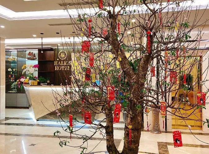 Halios Khách sạn Hạ Long
